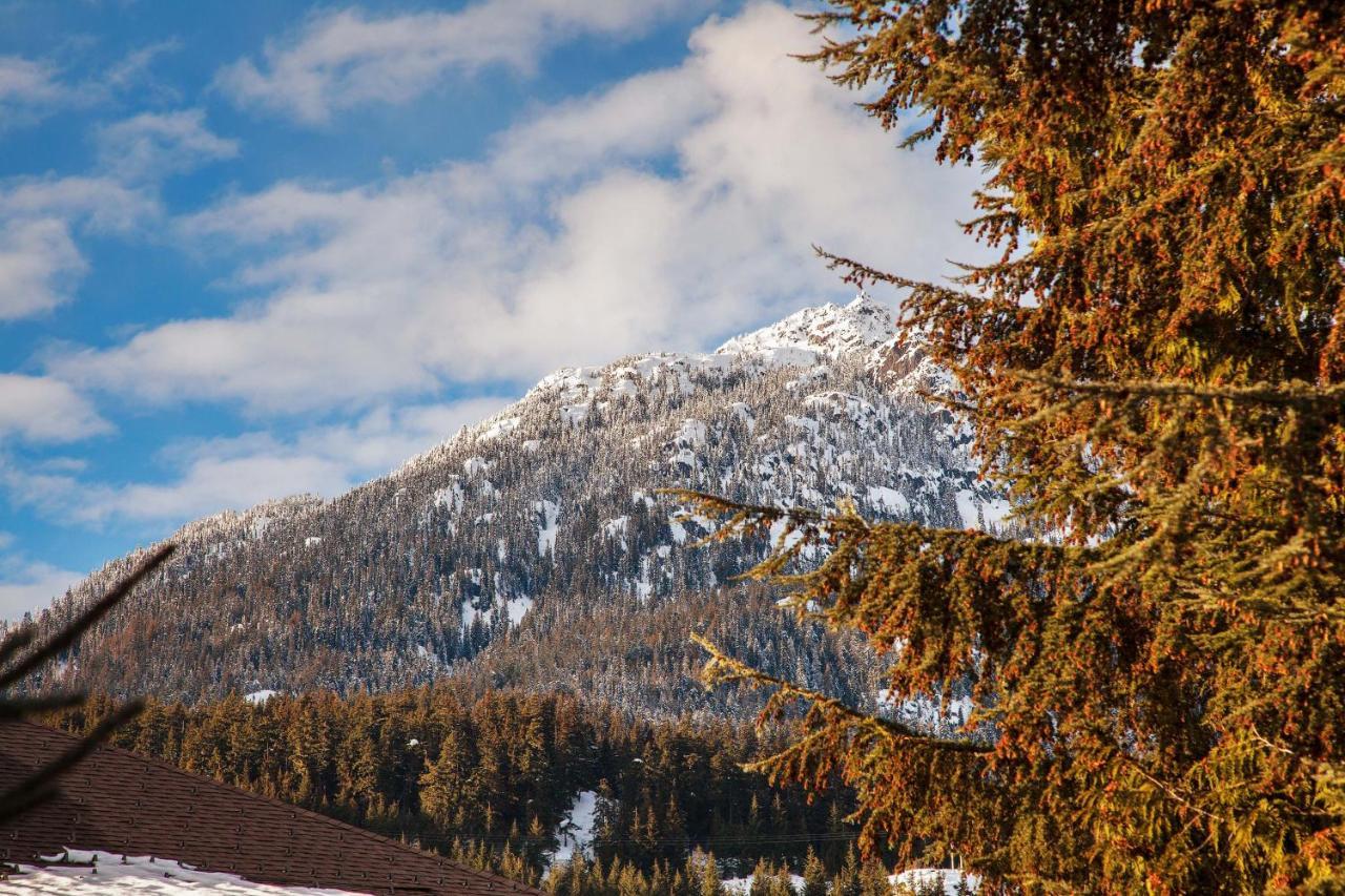 Updated Whistler Creek Studio With Parking Kültér fotó
